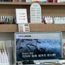 오네네일 - 성남시 분당구 백현로 105 | 인천 구월동네일샵 칠이오네일 웨딩네일 후기