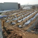 한초농장 이미지