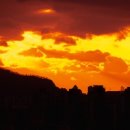 다그린태양광발전소 이미지