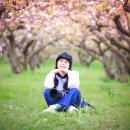 정이농장 이미지