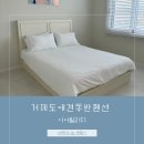 이아빌리지2 | 거제도 가족펜션이자 애견동반 펜션이자 복층이 특별한 곳인 이아빌리지 솔직 후기