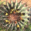 강수농장 이미지