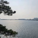 허니문 하우스 이미지