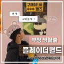 부평로터리 | 부평방탈출 플레이더월드 : &#34;구해줘 햄즈&#34; 초등학생 테마, 꽃길 테마로 찐 추천하는 후기💕