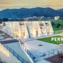 복돌이애견 이미지