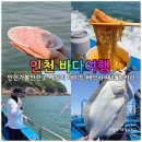 인천 가볼만한곳 인천배낚시 체험 놀거리 데이트 코스 6월 바다낚시 후기