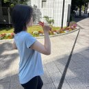 지안식품 | 올리브영 다이어트 간식 추천ㅣ파이리 젤리 탄탄젤리 솔직 후기(맛,효과)