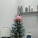 베오 베오 | 독산동미용실 수베오에 다녀온 후기예요