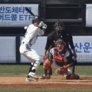 순이는 없지만 해피 순데이베어스는 이어진다~💙(vs 🦕) 이미지