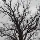 가곡리마을회관 이미지