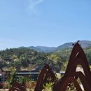 백두정비 | [공지] 봉화 국립백두대간수목원 - 백두산호랑이 관람과 자연속 산책 후기