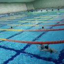 실내수영장 이미지