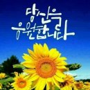 🍀 조국, 정책보좌관 '민변' 출신 김미경 전 靑행정관 발탁 이미지