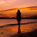 (주)아름다운손짓 이미지