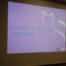 서초M동물의료센터 이미지