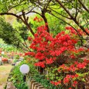 마음꽃하우스 민박 이미지