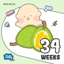 삼성1로 3길 | [출산 D-30] 만삭 임산부의 출산 휴가 일상 (만삭촬영/출산용품 추천/동탄 맛집)