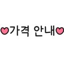 개미클린 이미지