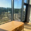 노바운더리 이미지