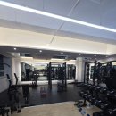 텐세그리티 | 후암동pt 무너진 밸런스 꽉 잡아준 텐세그리티 피트니스 찐 운동 후기