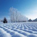 함안유치원 이미지