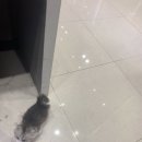 퍼스널헤어 이미지