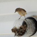 산골짝 민박 이미지