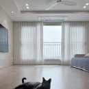 울산호계수자인점 | 울산 북구 호계 한양수자인 커튼 블라인드 맞춤 시공 후기
