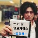 황산벌 이미지