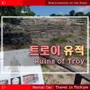 카트로인 이미지