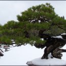 아트랜드 이미지