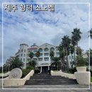 소노벨 타워 C 제주 | 제주 함덕 소노벨 클린형 타운 C 스탠다드뷰 트윈 구) 대명리조트 이용 후기