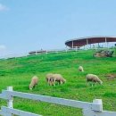 내방목장 이미지