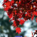 매봉약수 이미지