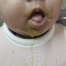 초기 이유식_ 두유 제조기로 애호박 미음 만들었어요 / 청경채 미음 후기