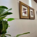 대전하늘의료소비자생활협동조합 하늘의원 이미지