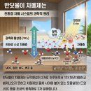 그린방역보건공사 | 증후군] 임산부 아내를 위한 선물! 해운대 롯데캐슬마린 인테리어 후 반딧불이 1박2일 과학적 제거 후기