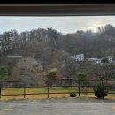 숲속의하얀집 이미지