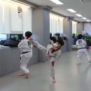 힘튼태권도 이미지