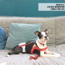 스페이스바이샤샤 이미지