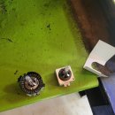 오토오아시스 일산 백석점 이미지