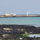 요나하우스 이미지