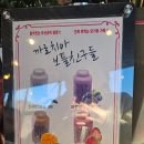 홍천 비발디파크 스키 썰매 근처 아이랑 가볼 만한 곳 카페 추천 /까로치아 카페