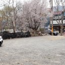 논공로5길 이미지