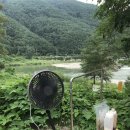 영월 동강오토캠핑장 이미지