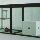 허스트(Hirst) 이미지