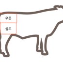 육회하게 이미지