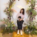 도그레온 이미지