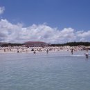 유유 카카오 검색결과