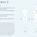 라이프웨이브 | 라이프웨이브 패치 사용 후기, 요즘 내가 유지하는 간편한 루틴